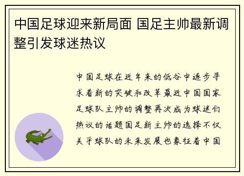 中国足球迎来新局面 国足主帅最新调整引发球迷热议